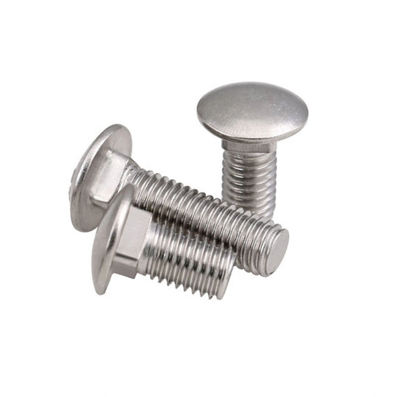 Hardened Stainless Steel Carriage Bolt M5 M8 M20 15mm 30mm Round Head Square