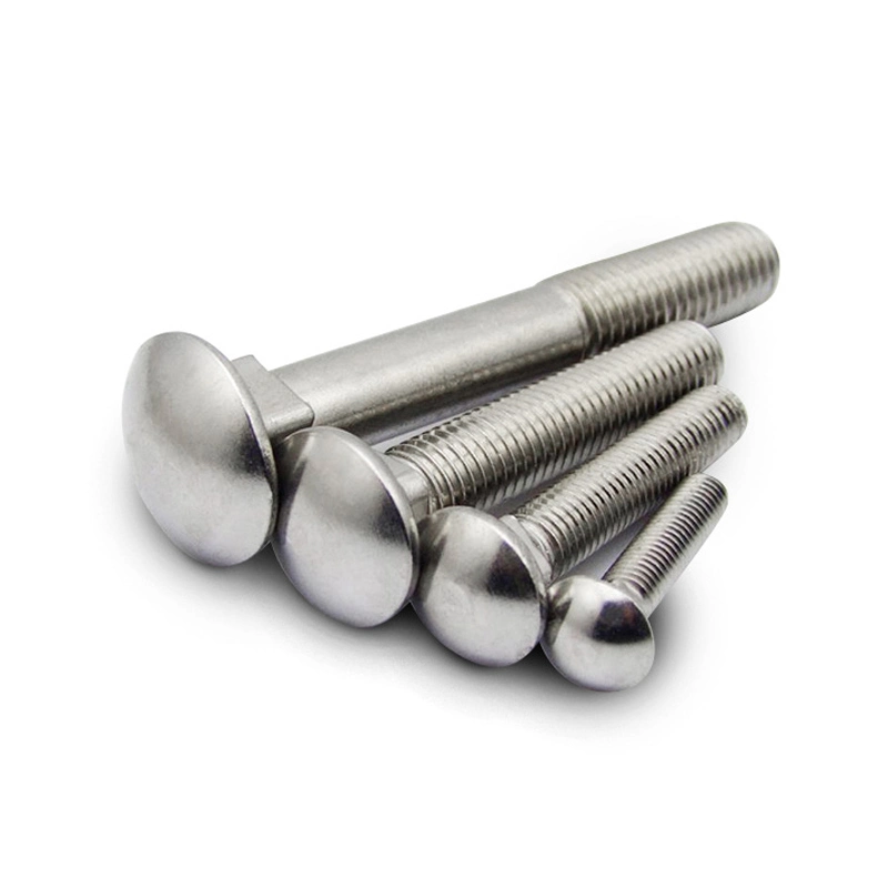 Hardened Stainless Steel Carriage Bolt M5 M8 M20 15mm 30mm Round Head Square