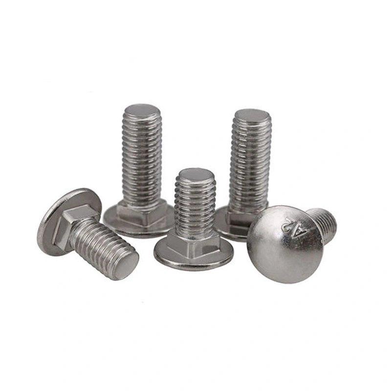 Hardened Stainless Steel Carriage Bolt M5 M8 M20 15mm 30mm Round Head Square