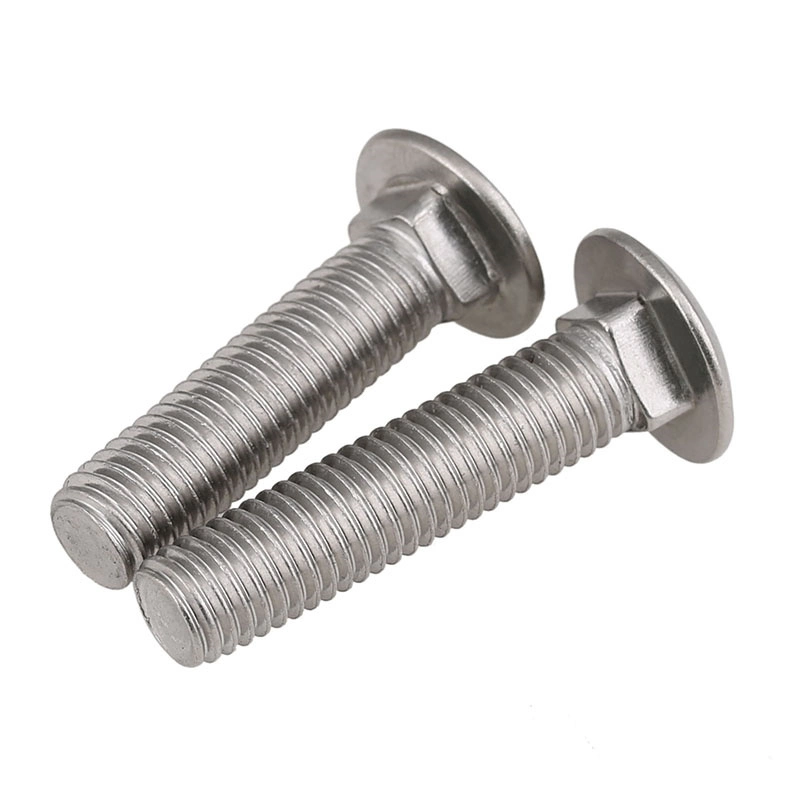 Hardened Stainless Steel Carriage Bolt M5 M8 M20 15mm 30mm Round Head Square