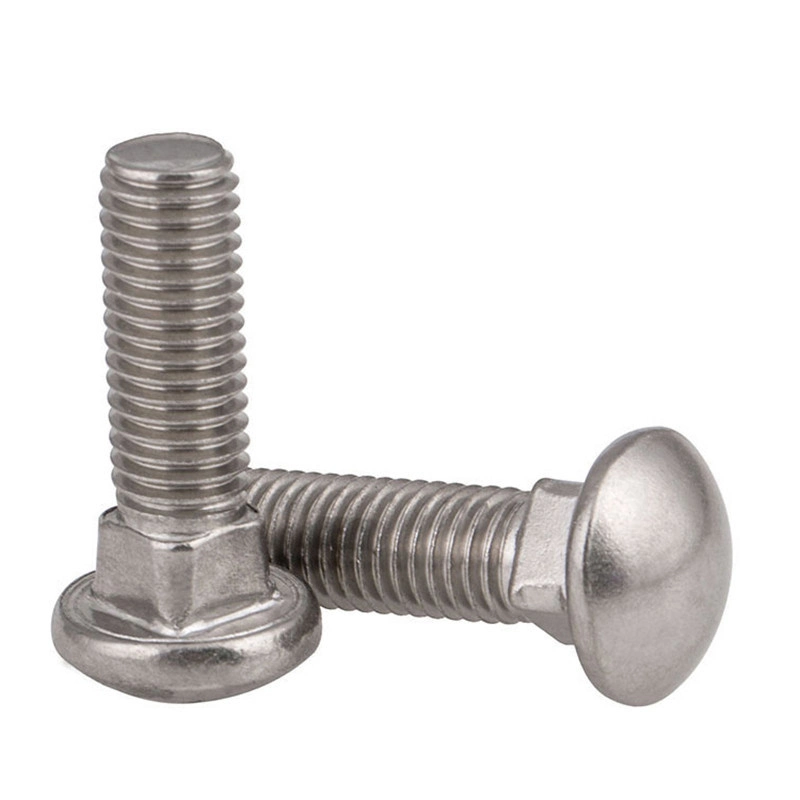 Hardened Stainless Steel Carriage Bolt M5 M8 M20 15mm 30mm Round Head Square