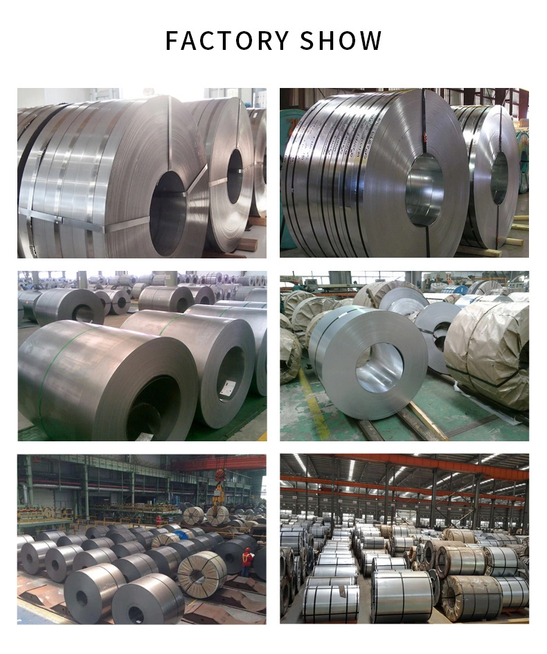 Cold Rolled Carbon Steel Strip Coil Stainless/Carbon/Galvanized/Aluminum/ Hot Cold Rolled/304/Steel Sheet/Strip/Coil