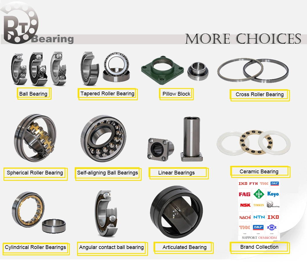 FAG/NSK/Koyo/NTN/Wheel Hub/ Assembly/Deep Groove Ball/Bearing Housing/High Temperature 2201