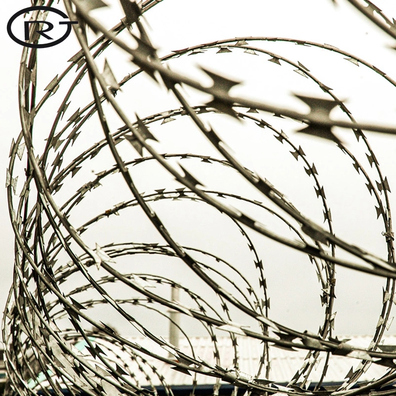 Galvanized/PVC Coated/Stainless Steel Concertina Razor Barbed Wire