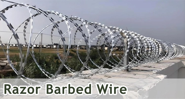 Stainless Steel 10mm 65mm Concertina Razor Blade Barbed Wire