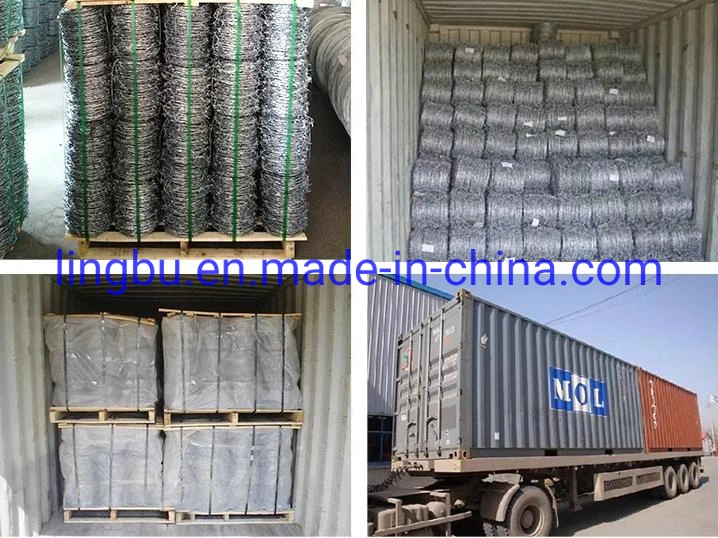 Galvanized Barbed Wire for Fence Anti Climb Wall Spikes Razor Security Wall Spikes Fence