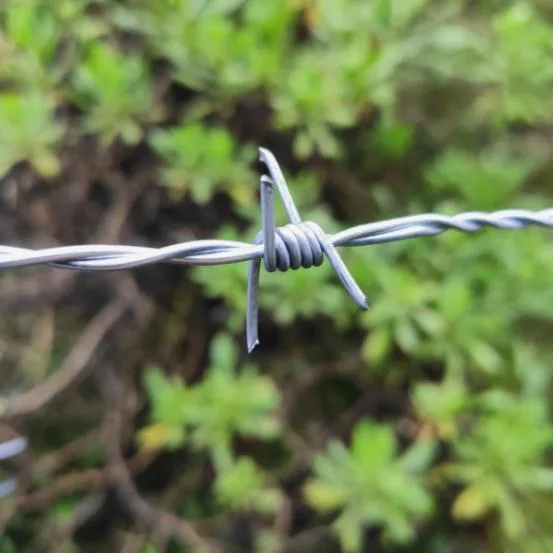 Anti-Rust Hot Dipped Galvanized Barbed Wire for Farm Fence