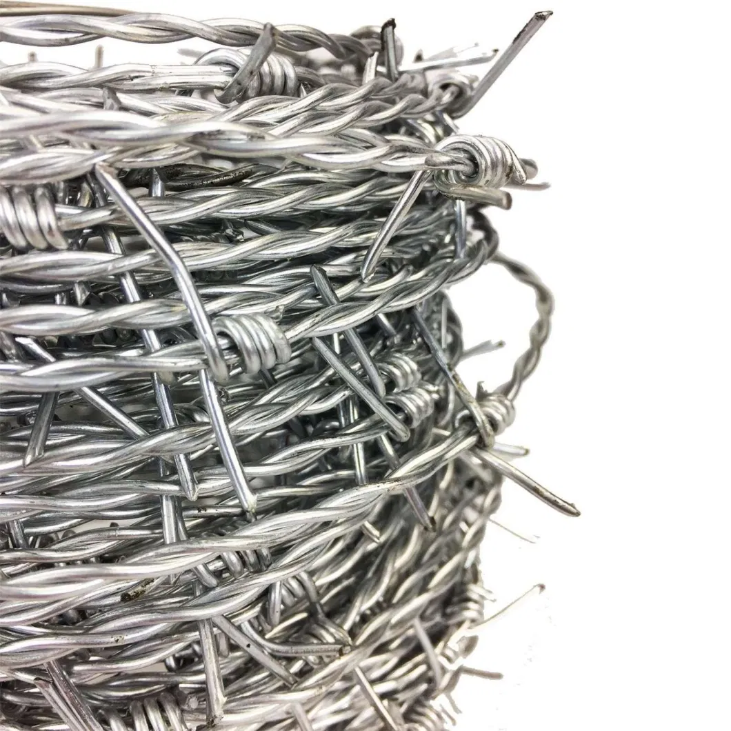 Galvanized Barbed Wire for Fence Anti Climb Wall Spikes Razor Security Wall Spikes Fence