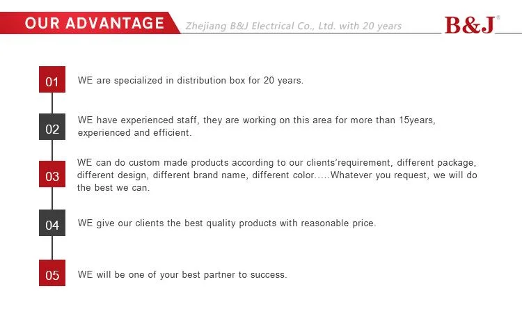 Distribution Box Electrical Boards/Electrical Lock Box