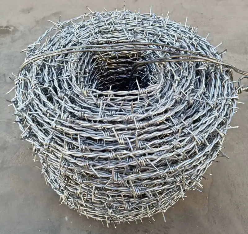 Galvanized Barbed Wire for Fence Anti Climb Wall Spikes Razor Security Wall Spikes Fence