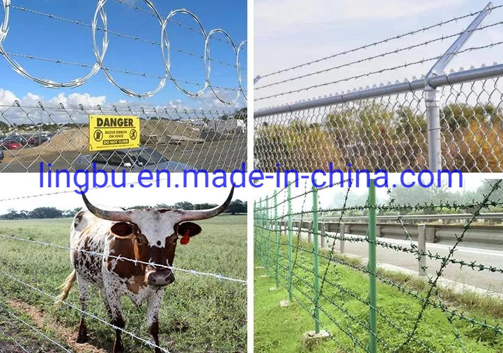 Galvanized Barbed Wire for Fence Anti Climb Wall Spikes Razor Security Wall Spikes Fence