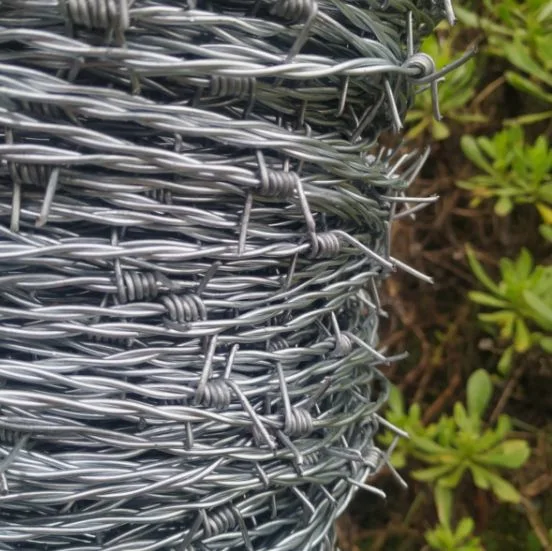 Anti-Rust Hot Dipped Galvanized Barbed Wire for Farm Fence