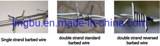 Galvanized Barbed Wire for Fence Anti Climb Wall Spikes Razor Security Wall Spikes Fence