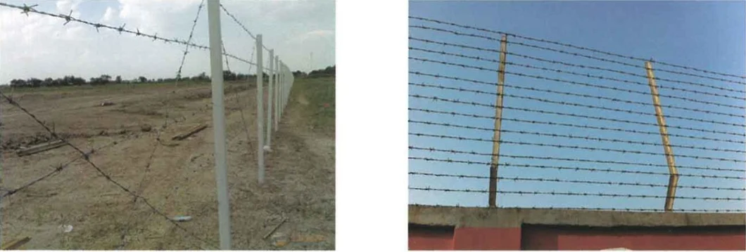 Mild Steel Wire Barbed Rope with Best Price Razor Wire for Security