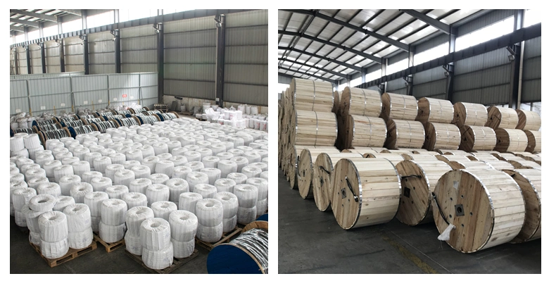 Galvanized Steel Wire Rope Overhead Bare Condcutor