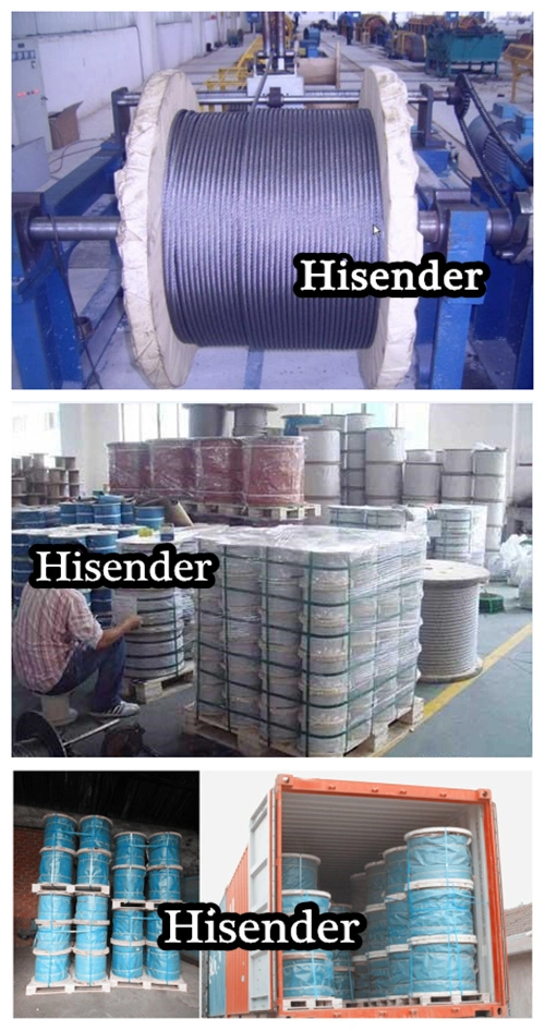 Professional Manufacturer of Stainless Steel304/316 Wire Rope