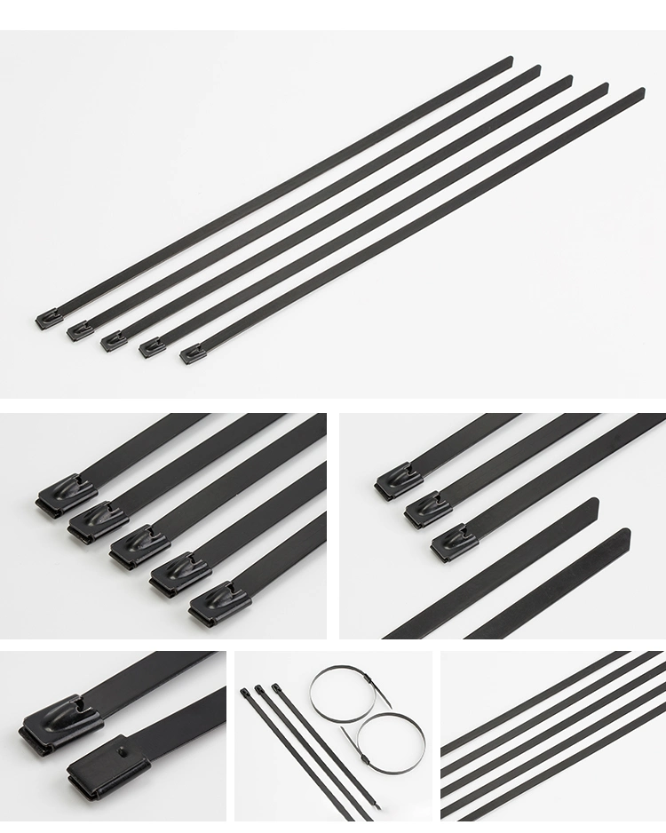 PVC Coated 316/304/201 Stainless Steel Cable Ties