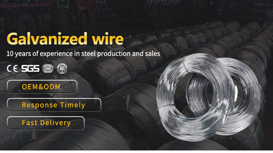 Binding Wire Swg 12 14 Hot Dipped Galvanized Iron Steel Metal Wire Rope Carbon Electro Electric Stainless Steel Wire Meshot DIP Galvanized Steel Wires