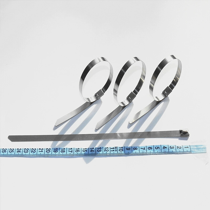 Factory Direct Sales 304 PVC Coated Stainless Steel Cable Ties 200*4.5