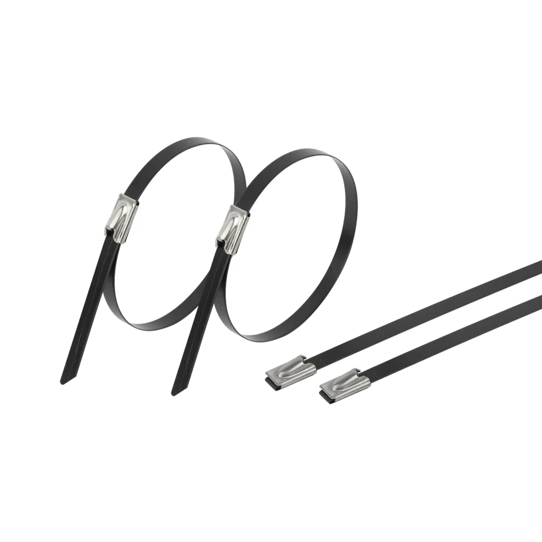 Stainless Steel Cable Tie---304 316 Dnv Ball Lock PVC Coated Tie