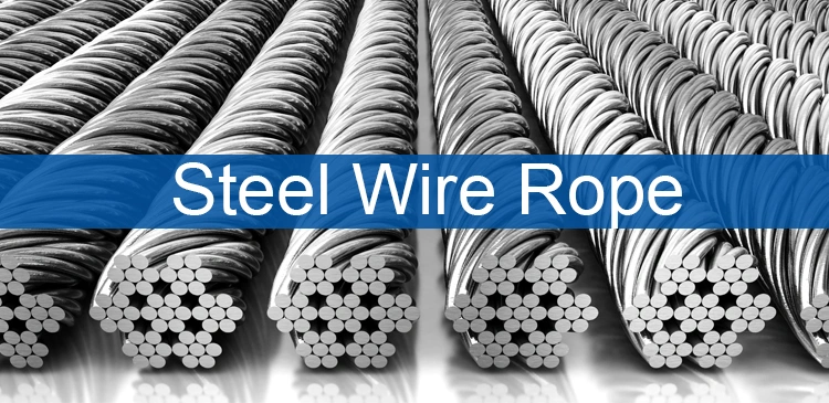 Top Manufacturer High Carbon Steel Ungalvanized Steel Wire Rope 8X19