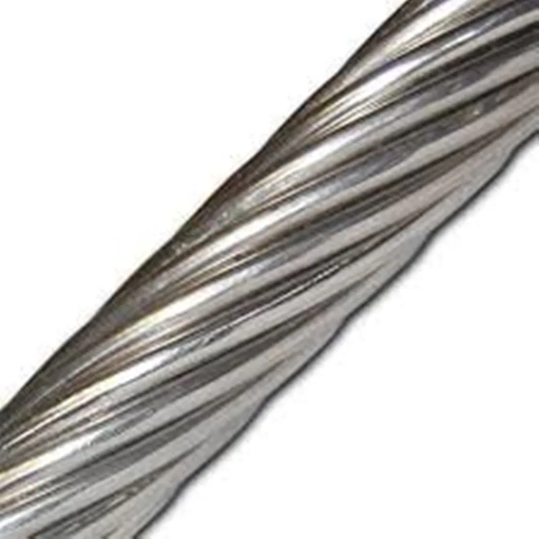 AISI304/316 Stainless Steel Wire Rope Vinyl (PVC) and Nylon Coated