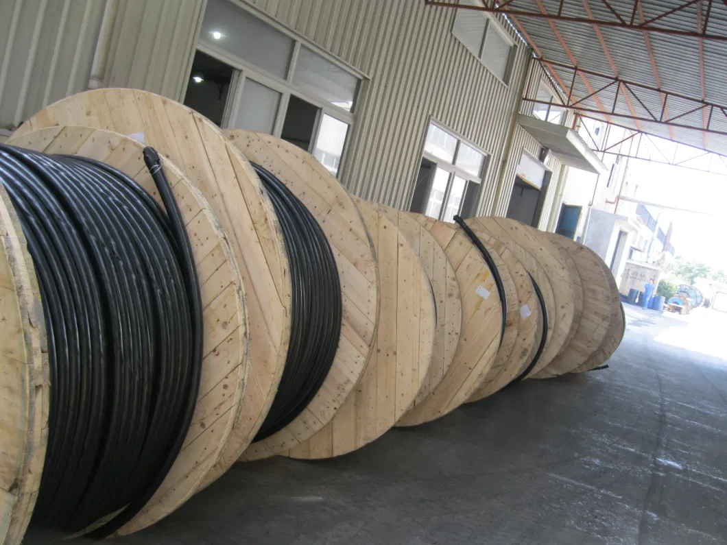 High Quality Galvanized Steel Wire Power Station Electrical XLPE 1 Core Cable