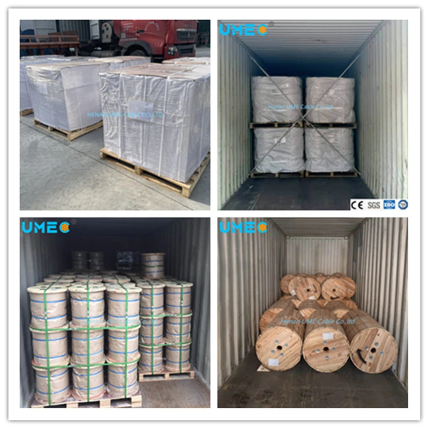 Electrical Gsw Cable Underground Heating Galvanized Steel Wire 7/4.0 19/1.6 Stainless Steel Wire Electrical Cable