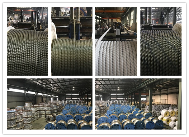 1*12 (3+9) Galvanised Steel Wire Rope of Factory China