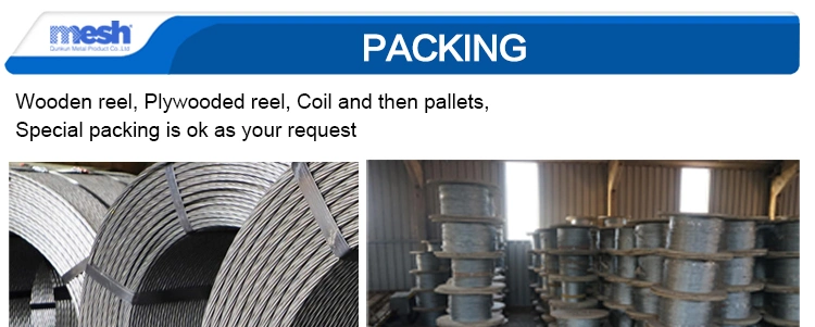 Top Manufacturer High Carbon Steel Ungalvanized Steel Wire Rope 8X19