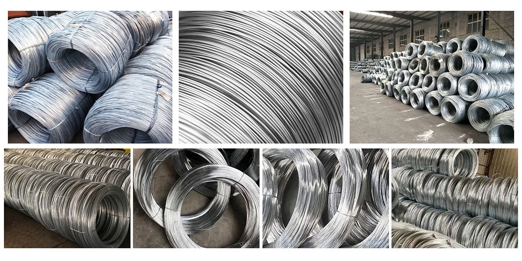 High Quality Galvanised Binding Wire Gi Steel Wire 9 10 12 14 16 Gauge Galvanized Iron Wire for Nail Fence Mesh