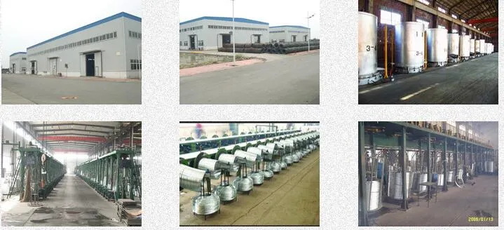 Hot DIP and Electric Galvanized Steel Wire Armoured Electrical Power Cables