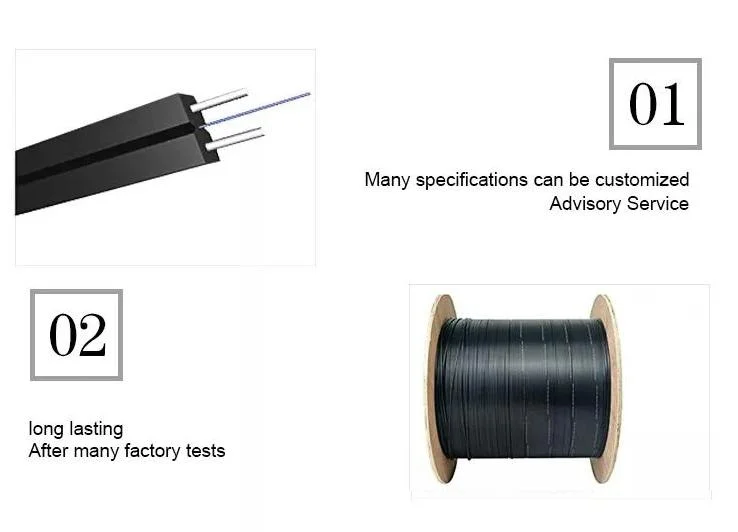 Outdoor/Indoor Steel Wire Fiber Optic FTTH 1 Core 2 Core 4 Core FTTH Drop Cable