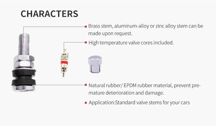 Tr161 Auto Accessory/Car Accessories of High Pressure Zinc Tire Valve Tr161 for Motorcycle and Electrical Bike