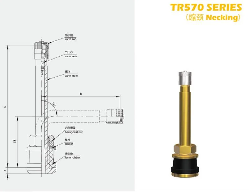 EU Stand Truck Wheel Valve Truck Tire Valve Stem Tr573