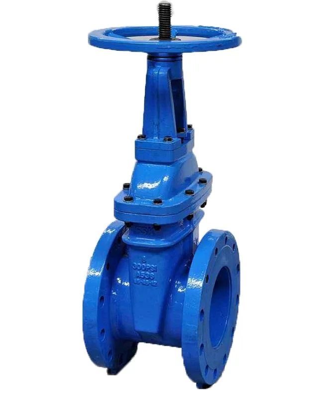 Cast Iron Pn16 Gate Valve Bronze Trim Stainless Steel Stem