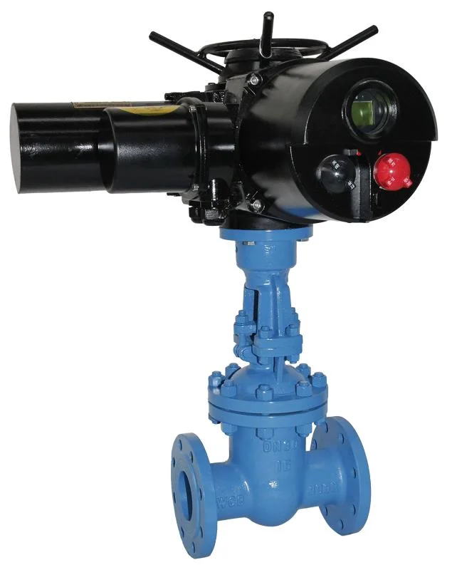 Cast Iron Pn16 Gate Valve Bronze Trim Stainless Steel Stem