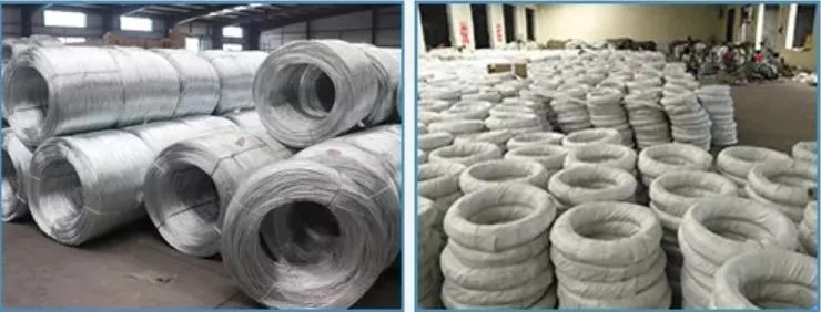 Electro Galvanized Iron Wire Bwg 20 Galvanized Wire Rolls for Construction