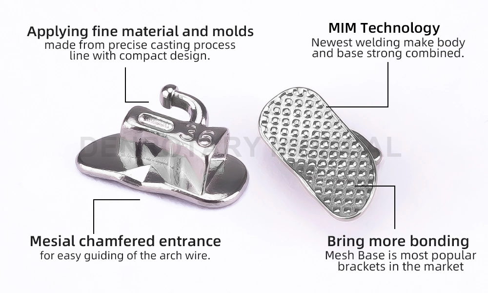 Molar Band Suppliers Banda De Ortodoncia Tube Brackets Molar Band with Buccal Tube Non-Convertible Single