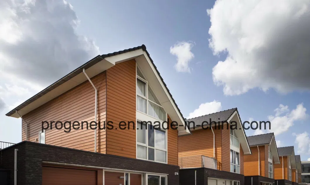 Progeneus Fiber Cement Cladding for Exterior Wall