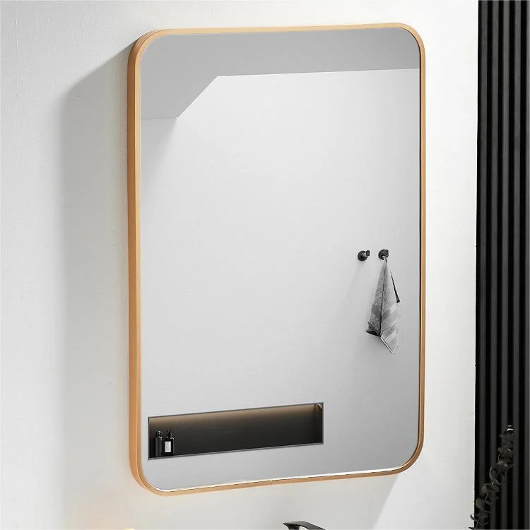 Apartment Full Length Floor Standing Mirror Dressing Mirror