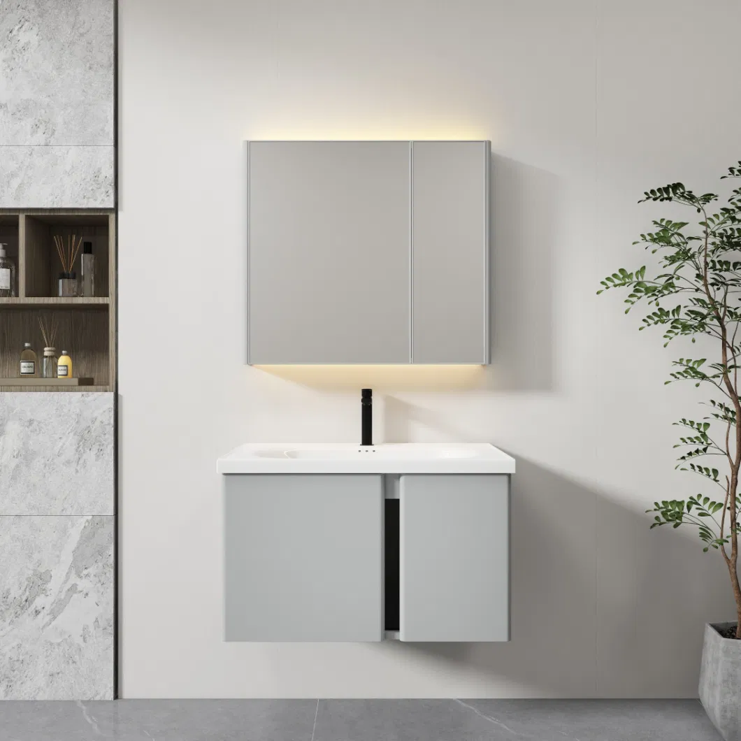 LED Light Mirror Single Vanity Bathroom Hanging Cabinet for Bath Makeup