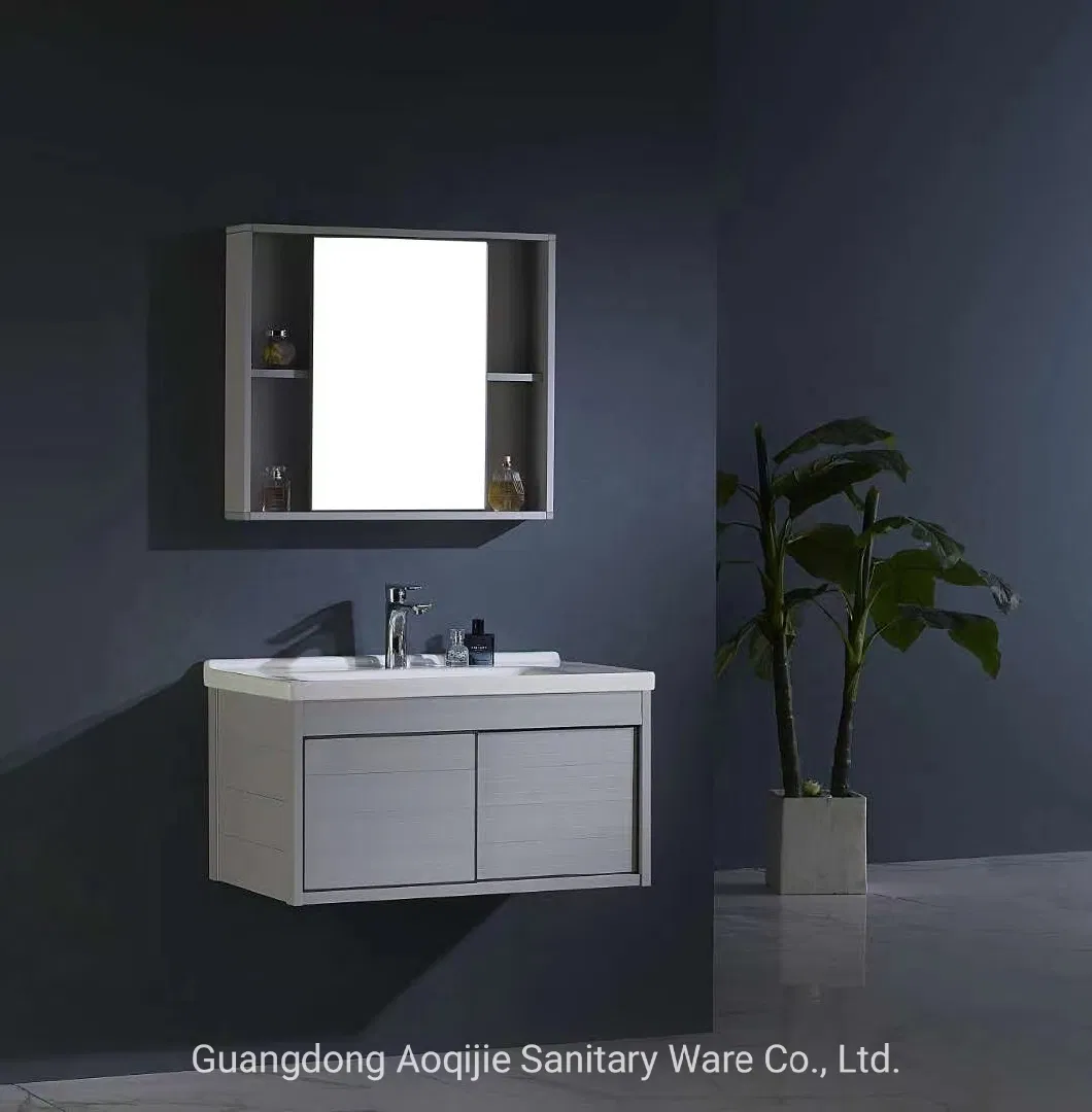 Modern Bathroom Cabinet Aluminum Cabinet 60-80 in Vaniry with Mirror Cabinet