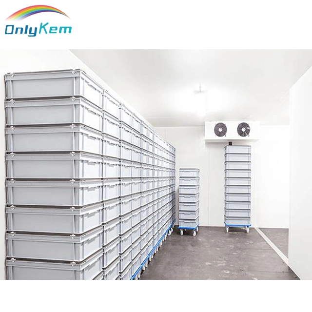 Industrial Freezer Cold Storage Cabinet