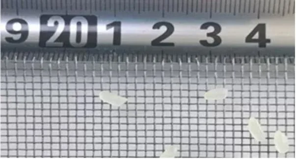 160g 165g 4*4 5*5 Plaster Fiberglass Mesh Net From Chinese Factory