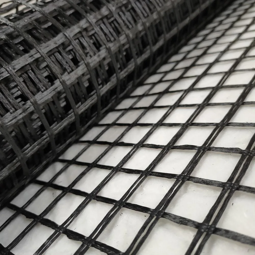 Manufacturer Biaxial Mesh Polyester Geogrid for Construction