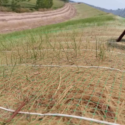 Geosynthetic Mat for Soil Erosion Control and Grass Stabilization