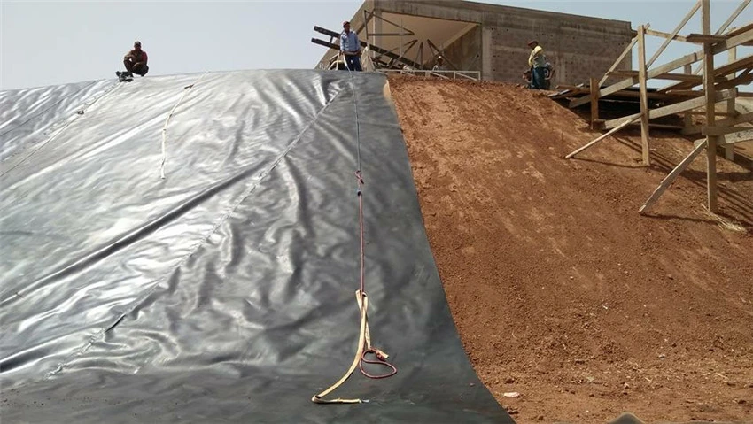 HDPE Geomembrane Waterproofing Pond Liner/Geogrid Road Construction Material/Building Material