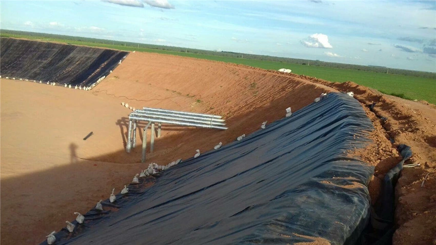 HDPE Geomembrane Waterproofing Pond Liner/Geogrid Road Construction Material/Building Material