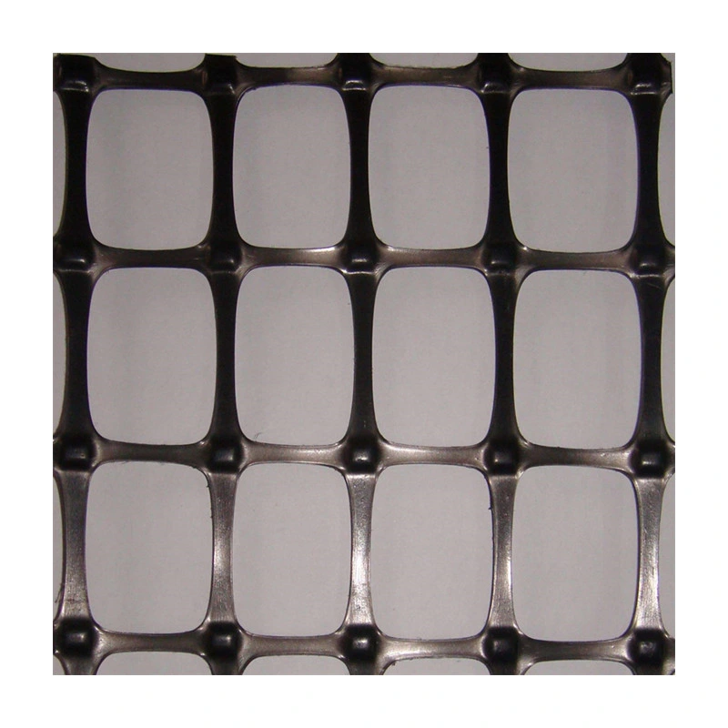 Factory Price Plastic Polypropylene PP Biaxial Grid Mesh Geogrids for Construction